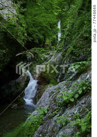 秩父華厳の滝 秩父華厳の滝 77448666
