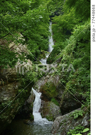 秩父華厳の滝 秩父華厳の滝 77448668