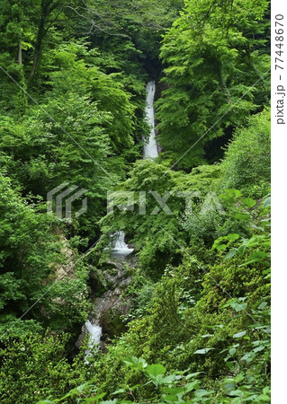 秩父華厳の滝 秩父華厳の滝 77448670