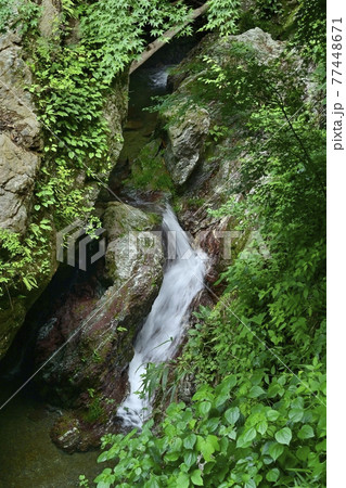 秩父華厳の滝下の渓流 秩父華厳の滝下の渓流 77448671