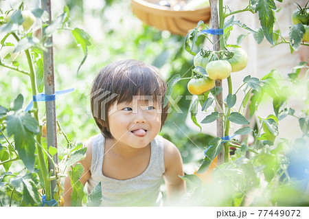 農家の子供 77449072
