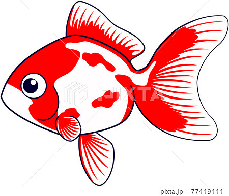 金魚のイラスト 77449444
