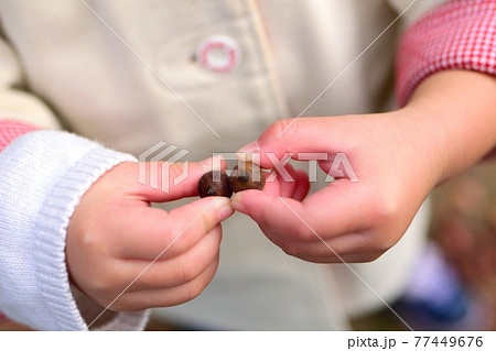 どんぐりを持つ子供 どんぐりを持つ子供 77449676
