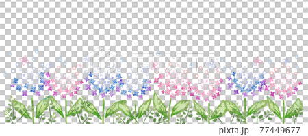 Cute hydrangea (horizontal) Cute hydrangea (horizontal) 77449677
