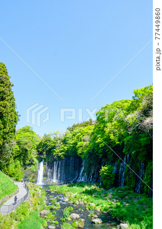 白糸の滝（富士宮） 77449860