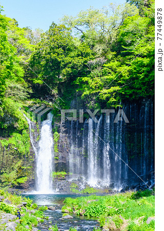 白糸の滝（富士宮） 77449878