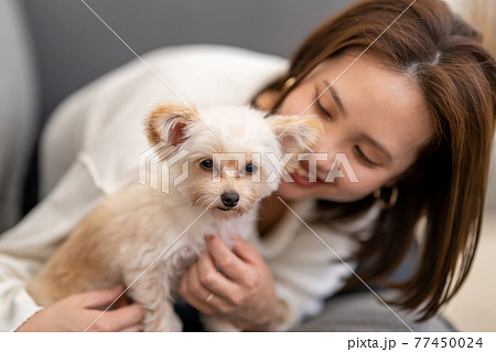 小型犬と暮らす若い女性 小型犬と暮らす若い女性 77450024