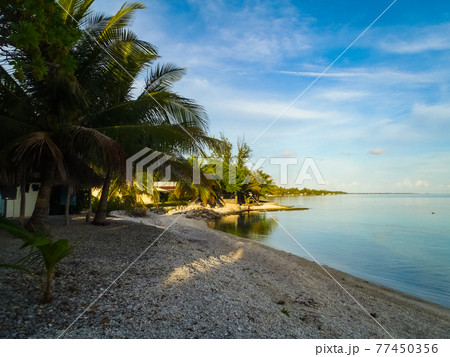 南国の離島の日没前の静かなラグーン (ランギロア環礁、ツアモツ諸島、仏領ポリネシア) 南国の離島の日没前の静かなラグーン (ランギロア環礁、ツアモツ諸島、仏領ポリネシア) 77450356