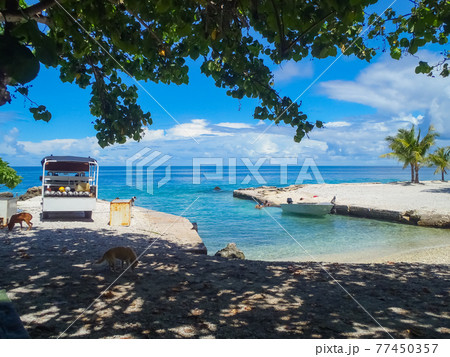 熱帯ビーチの小さな港 (ランギロア環礁、ツアモツ諸島、仏領ポリネシア) 77450357
