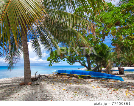 南国の離島の静かなラグーン (ランギロア環礁、ツアモツ諸島、仏領ポリネシア) 77450361