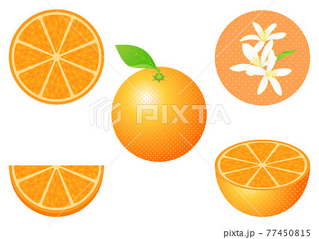 オレンジのフルーツカットと花のセットのイラスト素材