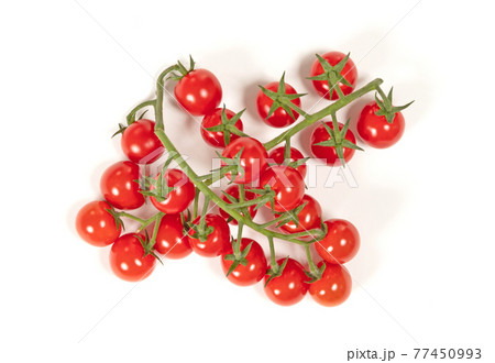 Twig of fresh cherry tomato on white Twig of fresh cherry tomato on white 77450993