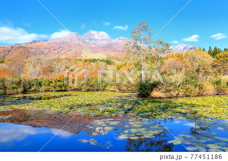 秋のいもり池と妙高山 秋のいもり池と妙高山 77451186