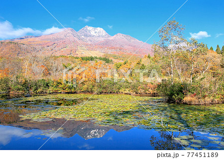 秋のいもり池と妙高山 秋のいもり池と妙高山 77451189