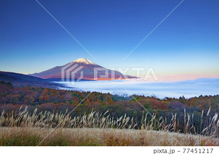 朝日に照らされた富士山と雲海に覆われた山中湖　山梨県南都留郡山中湖村パノラマ台にて　 77451217