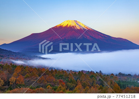 朝日に照らされた富士山と雲海に覆われた山中湖 山梨県南都留郡山中湖村パノラマ台にて 朝日に照らされた富士山と雲海に覆われた山中湖 山梨県南都留郡山中湖村パノラマ台にて 77451218
