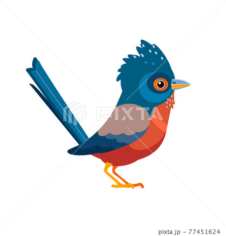 Dartford warbler birds is a typical warbler from the warmer parts of western Europe. Scientific name: Curruca UNdata. Cartoon flat style beautiful character of ornithology, vector illustration 77451624