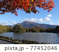 初冠雪の伊吹山と紅葉 77452046