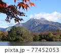 初冠雪の伊吹山と紅葉 77452053