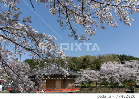 安倍文珠院　奈良県桜井市 77452820