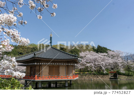 安倍文珠院　奈良県桜井市 77452827