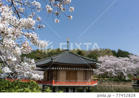 安倍文珠院 奈良県桜井市 安倍文珠院 奈良県桜井市 77452828