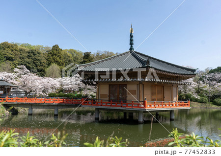 安倍文珠院　奈良県桜井市 77452833