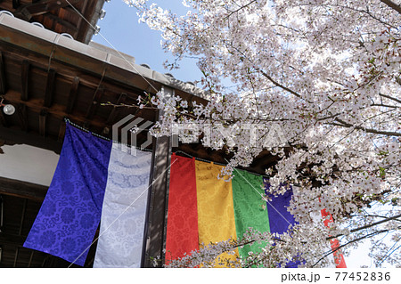 安倍文珠院　奈良県桜井市 77452836