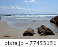 出雲稲佐浜から広々とした日本海の海を望む 77453151