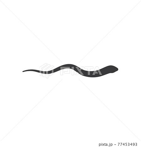 Snake logo vector 77453493