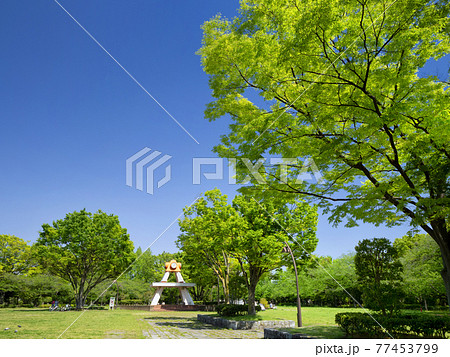 亀戸中央公園 東京都江東区 亀戸中央公園 東京都江東区 77453799