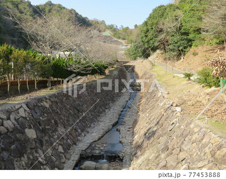 水分峡森林公園 77453888