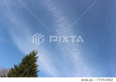 巻積雲(うろこ雲） 77453892