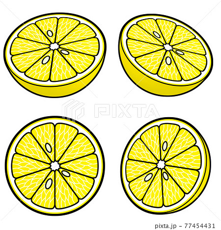 果物のイラスト素材 半分に切られたグレープフルーツ 線画風 カラー 4点セット カット集 果物のイラスト素材 半分に切られたグレープフルーツ 線画風 カラー 4点セット カット集 77454431
