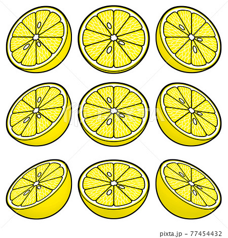 果物のイラスト素材　半分に切られたグレープフルーツ　線画風　カラー　9点セット　カット集 77454432