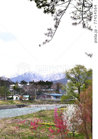 【群馬県利根郡】春の水上 諏訪峡 谷川連峰 77454564