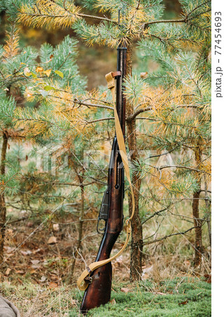 Old Soviet Russian Mosin-Nagant M91 Rifle Of World War II Leaning Against Trunk Of Tree. Weapon Of Red Army 77454693