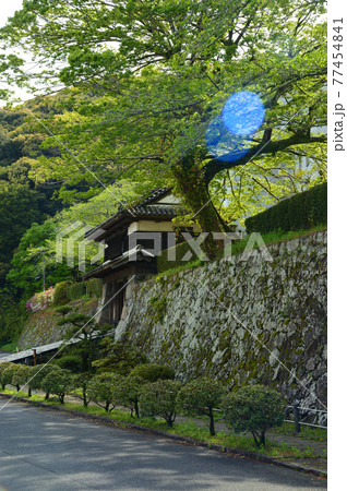 大分県佐伯市の街並み 大分県佐伯市の街並み 77454841
