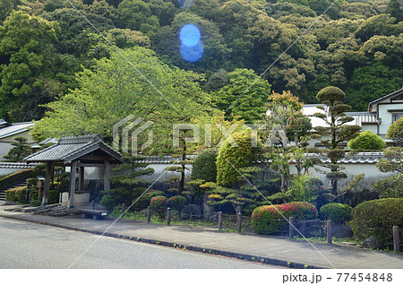大分県佐伯市の街並み 大分県佐伯市の街並み 77454848
