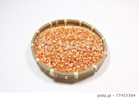 トウモロコシを乾燥させた状態 77455364