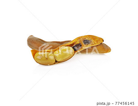 mucuna pruriens or velvet bean isolated on white background 77456145