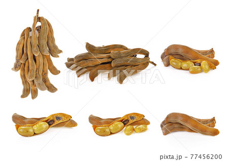 mucuna pruriens or velvet bean isolated on white background 77456200