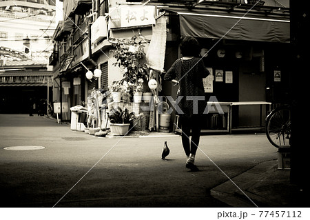浅草の路上で女性におねだりする鳩 77457112