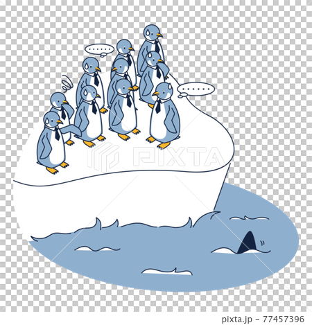 大海に飛び込むか迷っているペンギン 77457396