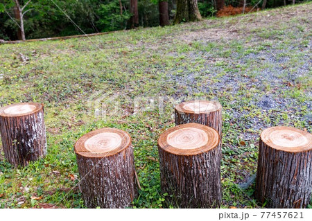 埼玉県秩父市　中山道の宿場　贄川宿　かかしの里　丸太置場 77457621