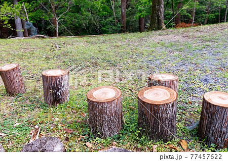 埼玉県秩父市　中山道の宿場　贄川宿　かかしの里　丸太置場 77457622