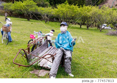 埼玉県秩父市　中山道の宿場　贄川宿　かかしの里　 77457813