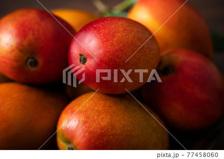 マンゴー マンゴ 台湾 77458060