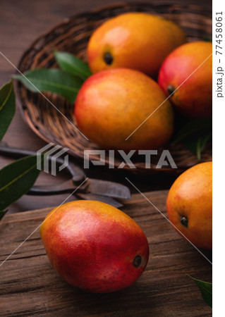 マンゴー マンゴ フルーツ 77458061