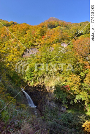 青い空 秋の快晴 紅葉始めの妙高高原小田切渓谷不動滝を撮るの写真素材